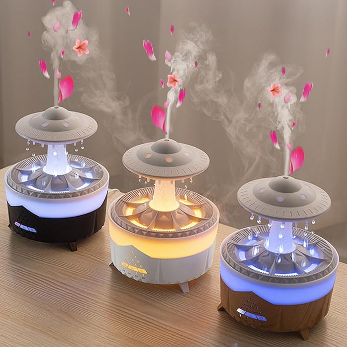 Rain Cloud Humidifier