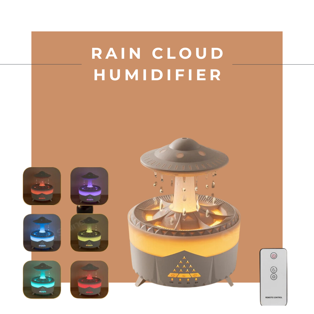 Rain Cloud Humidifier