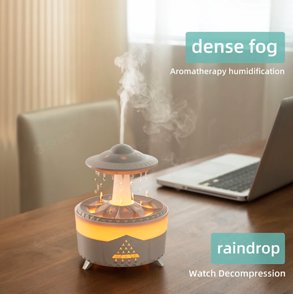 Rain Cloud Humidifier